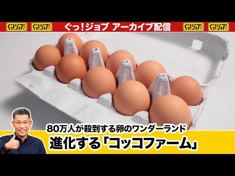 玉子王 Amazon.co.jp: 遊戯王カード QCCP-JP059 CNo.62 超銀河眼の