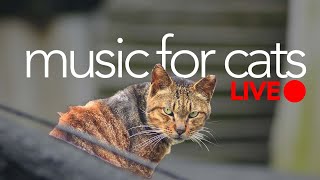 music for cats - Ultimate Relaxation Sounds for Cats LIVE
