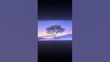سورة الأحزاب|23-24|القارئ:#محمد_اللحيدان #قران #quran #راحة_نفسية #قران_كريم#تلاوة_هادئة#تلاوة_خاشعة