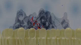 Bacterial cell wall biosynthesis