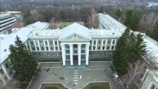 Конча Заспа Курорты Конча Заспа Курорты