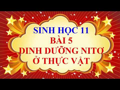 Video Sinh học lớp 11 - Bài 5 - Dinh dưỡng nitơ ở thực vật - YouTube
