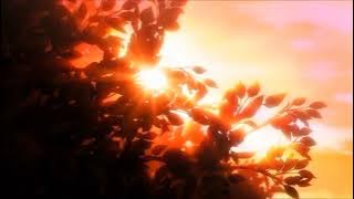 Run with the wind - Harmonica 「Yamato」