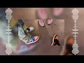 Chris Brown Pills Automobiles Sped Up