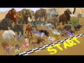 The Ultimate Race 50 Wild Animals Vs T-Rex Dinosaur Speed Challenge: Who is The Fastest Animal? ARBS