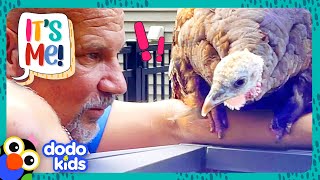 Cutest Turkey Trots Right Into Family's Home And Becomes Their Best Friend! | Dodo Kids | It's Me!