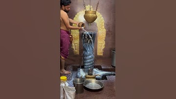 Thumbnail of Vasuki (snake)Gayatri mantra🙏🏻To remove Naga/kaalasarpa dosha🙏🏻💫😇❤️🦚#siva
