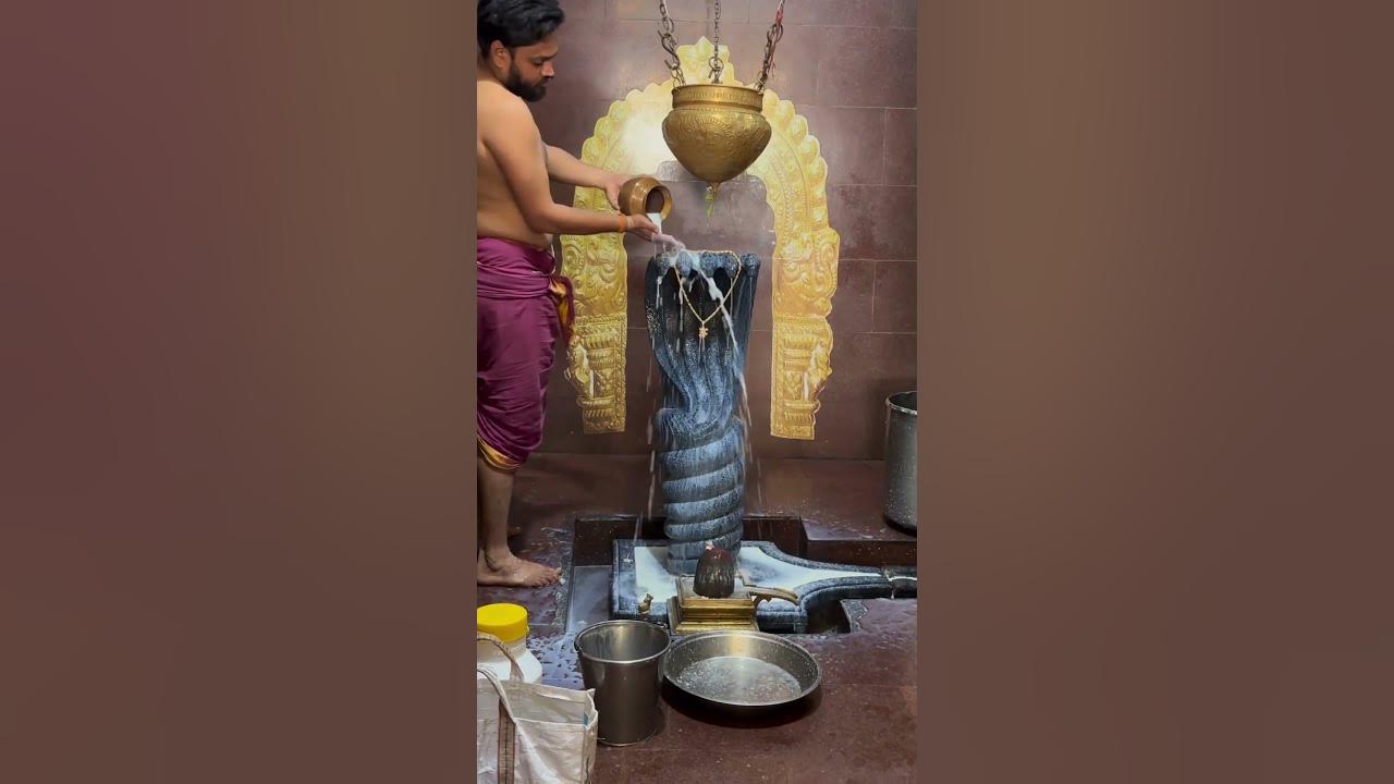 Vasuki (snake)Gayatri mantra🙏🏻To remove Naga/kaalasarpa dosha🙏🏻💫😇❤️🦚#siva
