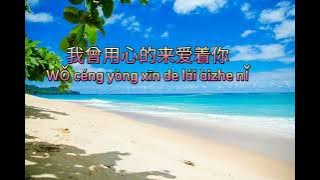 Pan Mei Chen 潘美辰 - Wo Ceng Yong Xin Ai Zhe Ni 我曾用心爱着你【Karaoke Version no Vocal Terjemahan】