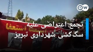 تجمع در تبریز در اعتراض به سگ‌کشی شهرداری