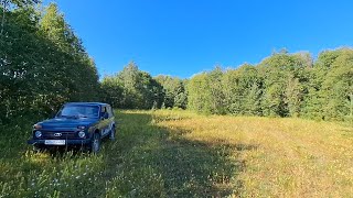 картинка: На Белое море на старой ниве. Часть 5 (конфликт с местными, кормим всех).