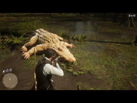 Cocodrilo Rdr2 En busca del cocodrilo legendario\\ RDR2 - YouTube