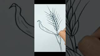 How to draw Wheat Plant #short