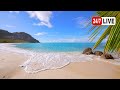 Seychelles Ocean 4K LIVE 24 7 Wild Beach Ocean Waves Sounds Relaxing Ocean Seychelles Ocean 4K LIVE 24 7 Wild Beach Ocean Waves Sounds Relaxing Ocean