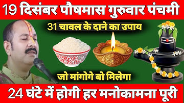 19 दिसंबर पौषमास गुरुवार पंचमी तिथि को 31 चावल दाने वाला उपाय जरूर करे || Pradeep Ji Mishra||