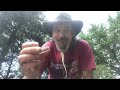 My Pocket Coin Is A Rattlesnake