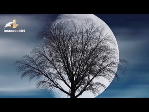 أمانا أيها القمر المطل ابن النبيه