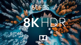 8K HDR 60fps Dolby Vision with Relaxing Piano (Forest Snow)