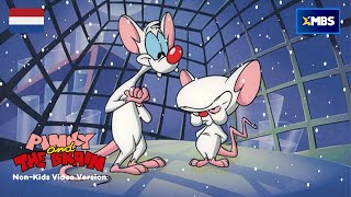 A Pinky And The Brain Chirstmas | Intro In Nederlands (Dutch)