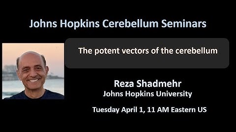 Reza Shadmehr: the potent vectors of the cerebellum