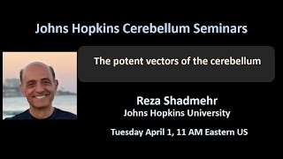 Reza Shadmehr: the potent vectors of the cerebellum