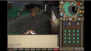 Ultimate Chaos Dwogre Guide! 2012!