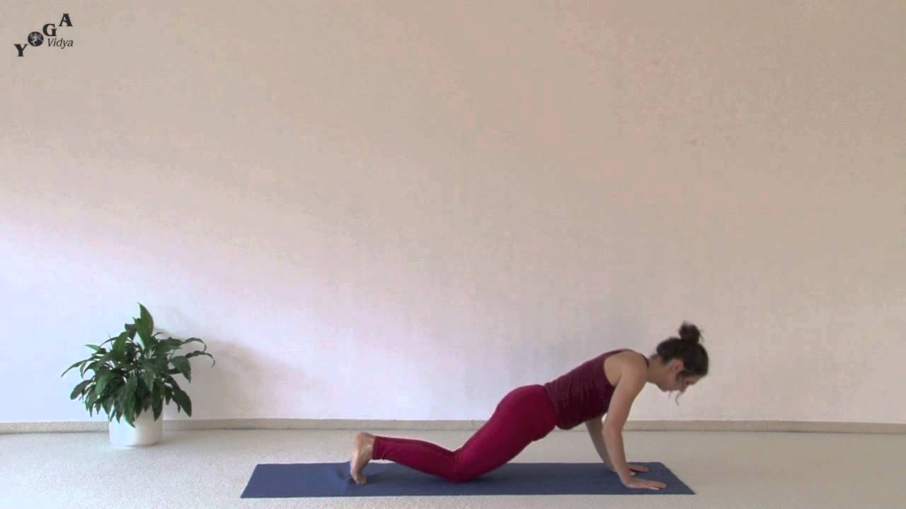 Yoga Sun Salutations With Paradise Bird and Side Plank Variations intermediate meaning in hindi