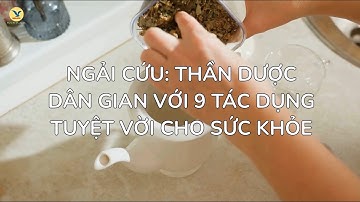 Ngải Cứu: Thần Dược Dân Gian Với 9 Tác Dụng Tuyệt Vời Cho Sức Khỏe