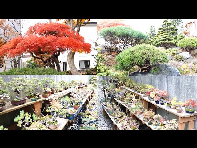 Home Visit Series: Handmade Pots - YouTube