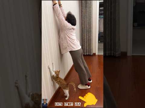 The end 😂 #pet #funny #shortsfeed #cute #viralshorts#ytshorts