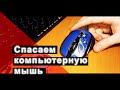 Даем вторую жизнь компьютерной мыши. Дорогой сердцу подарок!