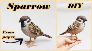 How to make paper SPARROW 🐤 | Toilet paper rolls crafts DIY