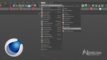 Create a custom Cinema 4D layout
