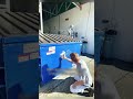 Галерея в мусорном баке 😲😄