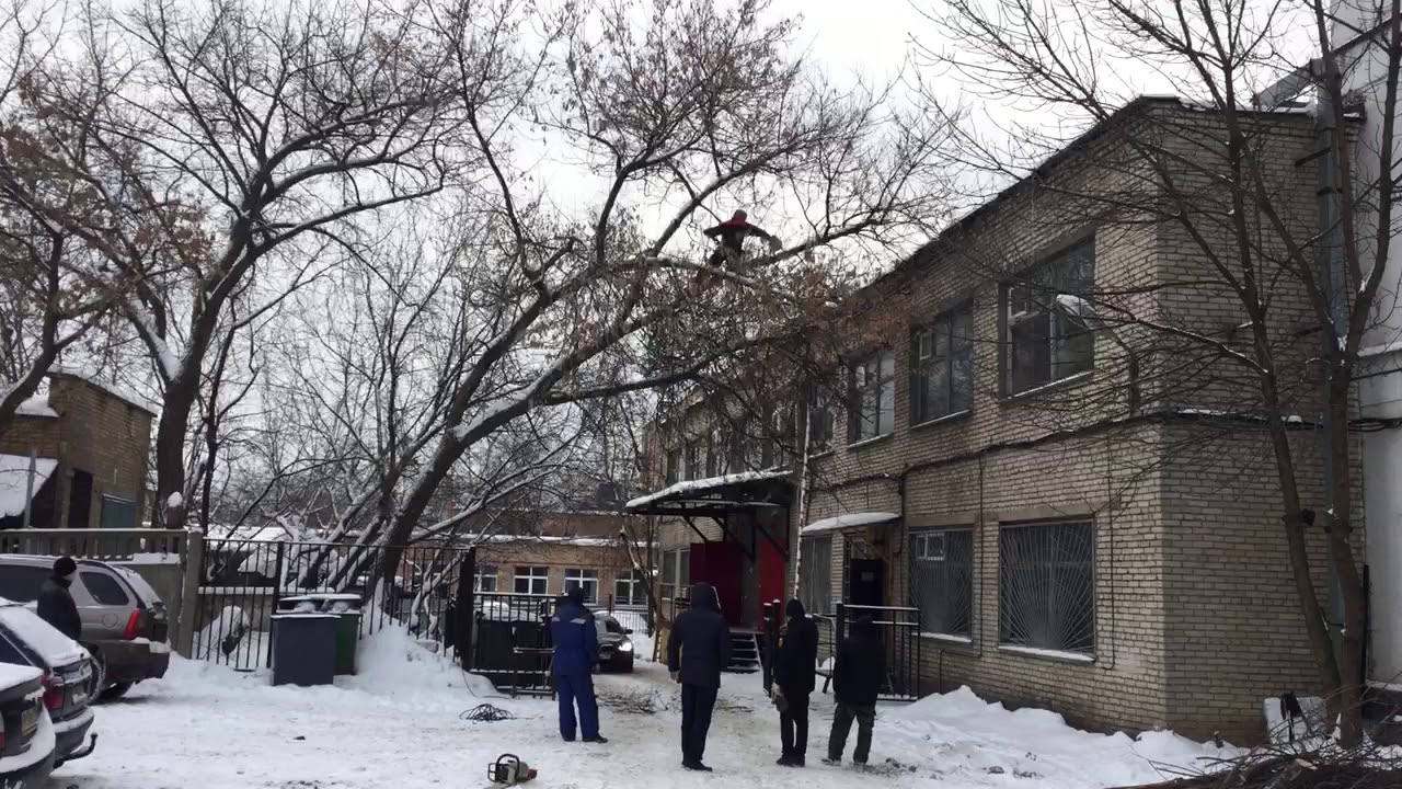 Удаление деревьев частями - YouTube