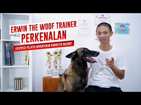 Video: Berkumpul Dengan Anjing Anda: Dasar-dasarnya