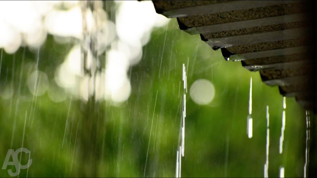 🔴 Heavy Rain and Light Thunder Sounds For Sleeping | Thunderstorm Live Stream