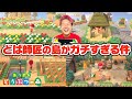 【あつ森】どば師匠があつ森ガチ勢すぎる件について。【あつまれ どうぶつの森】