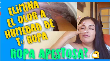 ¿Cómo se quita el olor de la ropa mojada?