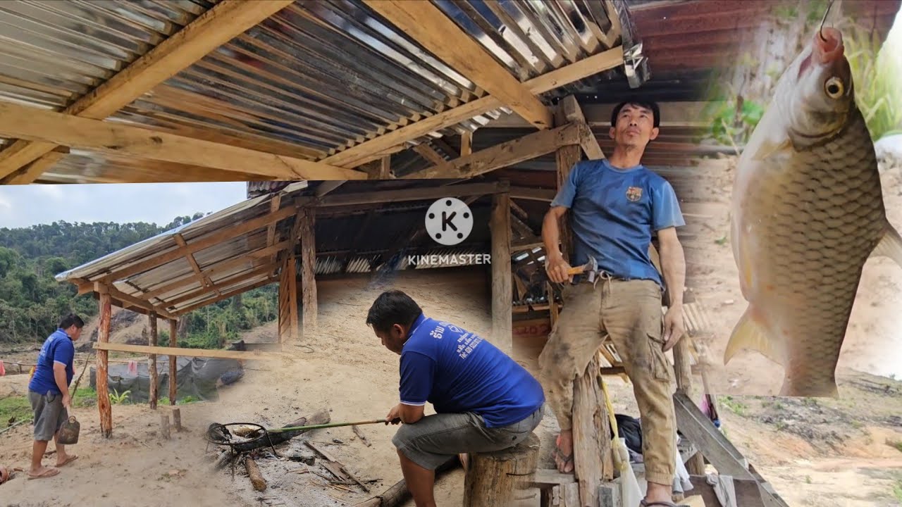 Love tau tsev  mov lawm