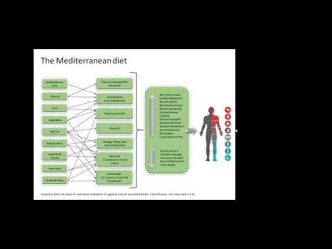 Choosing antioxidants for therapeutic intervention, with Dr Nina Bailey