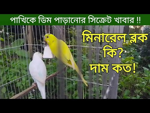 ভিডিও: আপনি কি সমুদ্রের ফেনা খেতে পারেন?