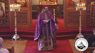 Homily 041424