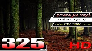 הרב עופר ארז - לעורר את החסדים (HD)