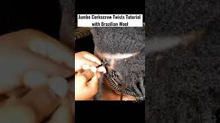 corkscrew twists tutorial#passiontwist #twist #corkscrew #fyp #trending #shorts #viralvideo #tips