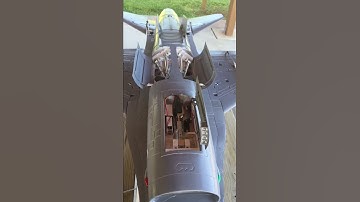 Freewing F-16 retracts.