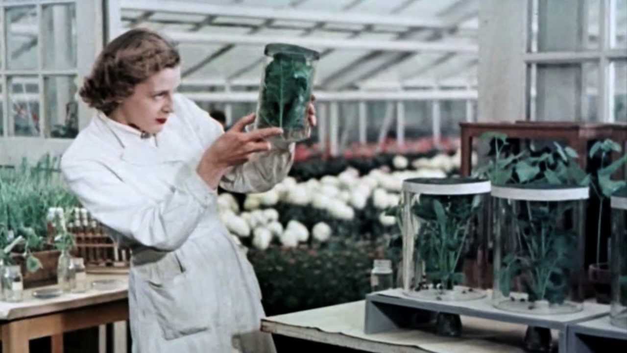 150 Jahre Bayer 1951 bis 1990 Ein besseres Leben durch Chemie YouTube