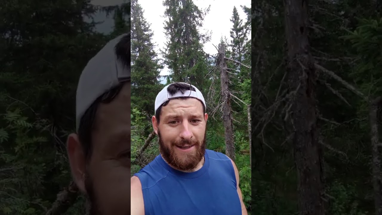 malidak zuratkul fest 84км