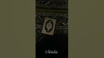 تلاوة عطرة لآيات من سورة البلد بصوت القارئ محمد صديق المنشاوي