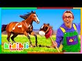 Aprendamos sobre caballos s educativos para nios  kidibli